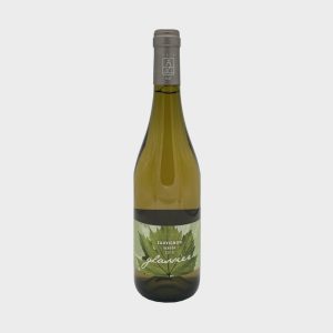 Glassier - Sauvignon