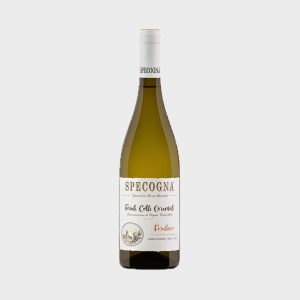 Specogna - Friulano DOC