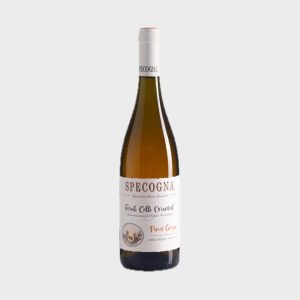 Specogna - Pinot Grigio